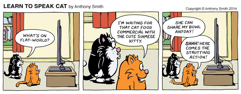 Learn To Speak Cat comic strip