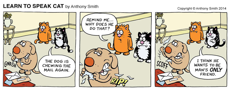 Learn to speak cat comic strip